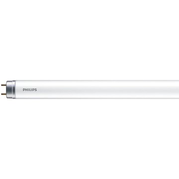 LED Svjetlosna cijev Philips MASTER T8 G13/6W/110V 4000K 45 cm