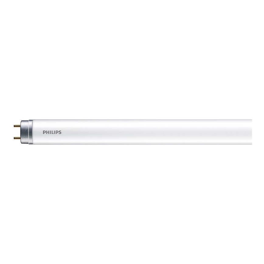 LED Svjetlosna cijev Philips T8 G13/16W/230V 6500K 120 cm