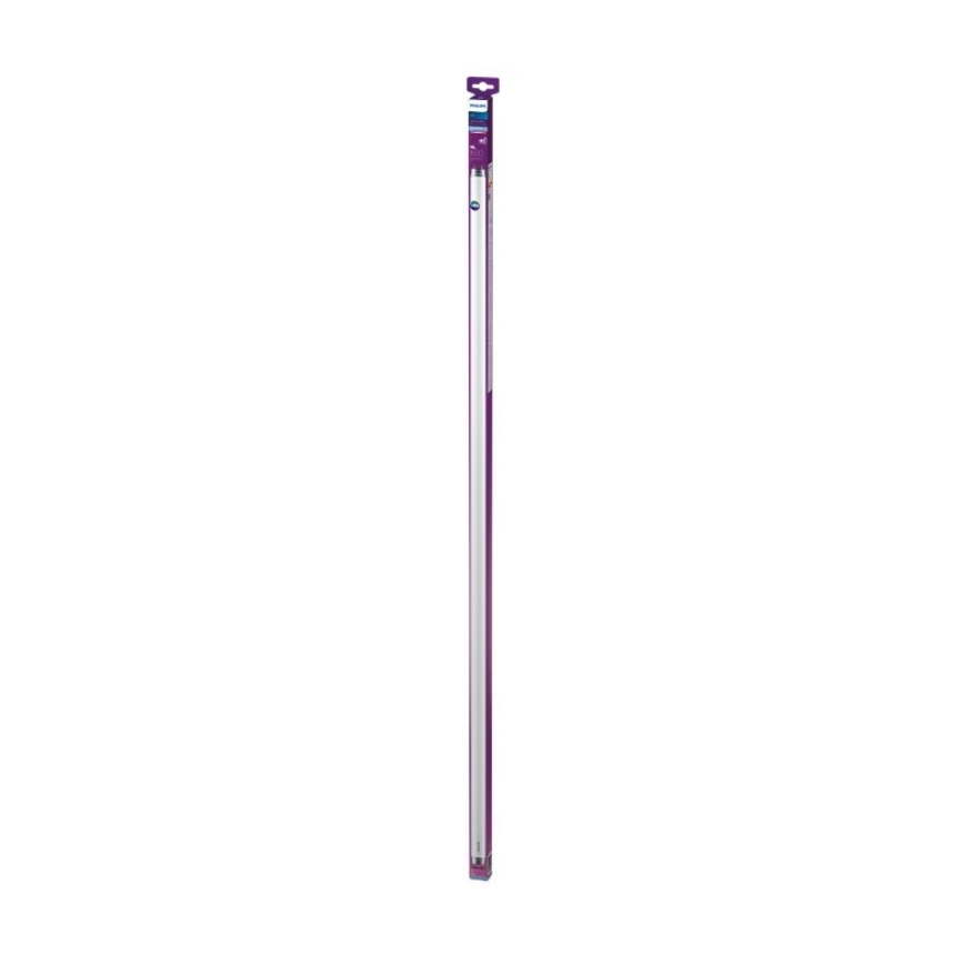 LED Svjetlosna cijev Philips T8 G13/16W/230V 6500K 120 cm