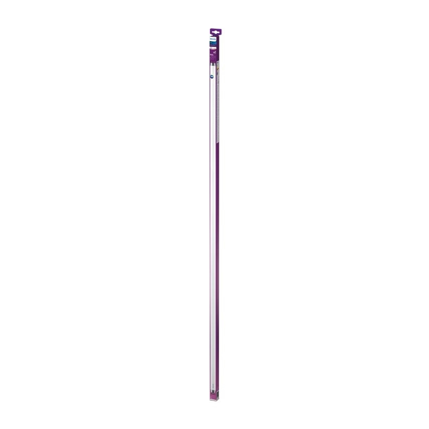 LED Svjetlosna cijev Philips T8 G13/19,5W/230V 3000K 150 cm
