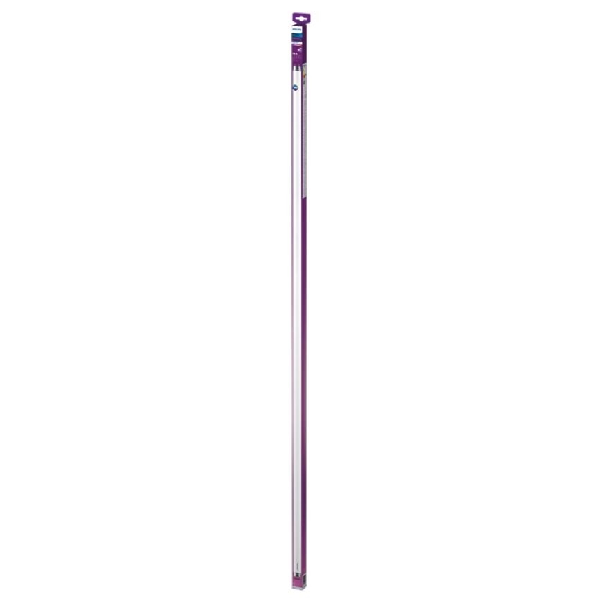 LED Svjetlosna cijev Philips T8 G13/19,5W/230V 4000K 150 cm
