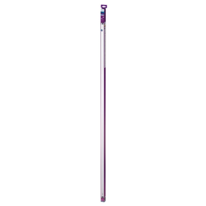 LED Svjetlosna cijev Philips T8 G13/19,5W/230V 6500K 150 cm