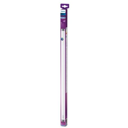 LED Svjetlosna cijev Philips T8 G13/8W/230V 6500K 60 cm