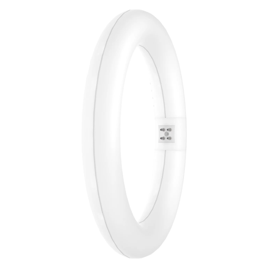 LED Svjetlosna cijev SUBSTITUBE T9 G10q/12W/230V 4000K pr. 21,2 cm - Osram