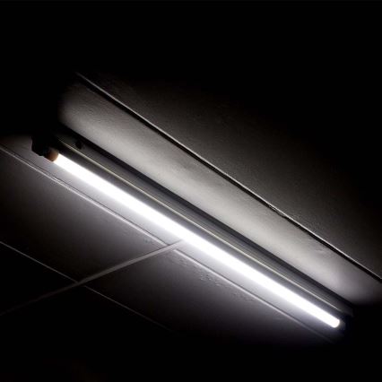 LED Svjetlosna cijev T5 G5/16W/230V 6500K 120 cm