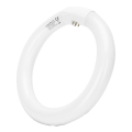 LED Svjetlosna cijev T9 G24q-1/22W/230V 6500K - Aigostar
