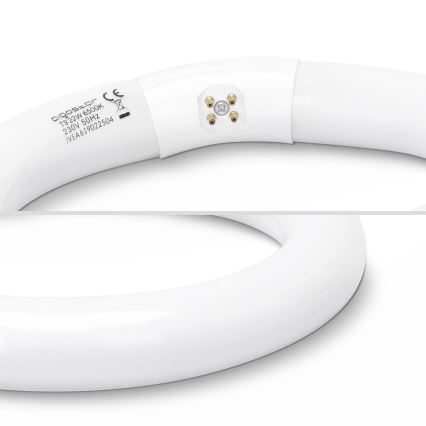 LED Svjetlosna cijev T9 G24q-1/22W/230V 6500K - Aigostar