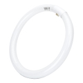 LED Svjetlosna cijev T9 G24q-1/32W/230V 6500K - Aigostar