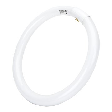 LED Svjetlosna cijev T9 G24q-1/32W/230V 6500K - Aigostar