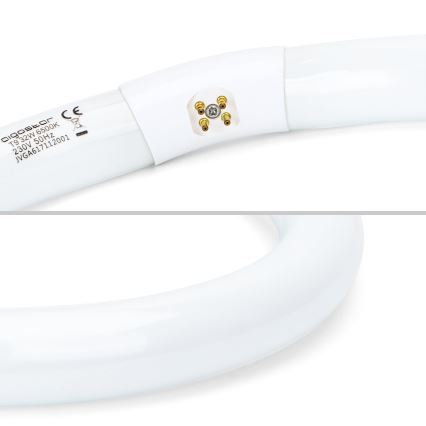 LED Svjetlosna cijev T9 G24q-1/32W/230V 6500K - Aigostar