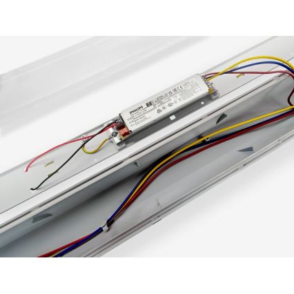 LED tehnička svjetiljka LED/50W/230V 6000K 150 cm IP65