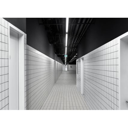 LED tehnička svjetiljka LIMEA MINI LED/36W/230V IP65 4000K 1200 mm