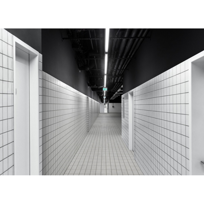 LED tehnička svjetiljka LIMEA MINI LED/36W/230V IP65 4000K 1200 mm