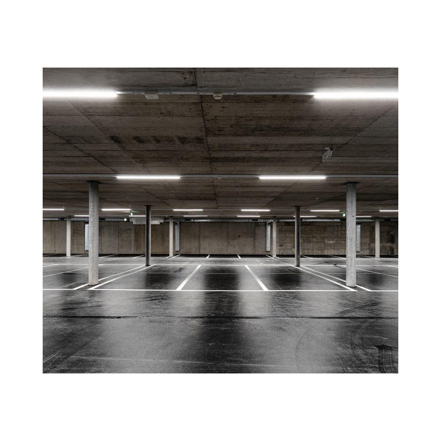 LED tehnička svjetiljka LUMEXO LED/50W/230V 4000K IP65 151 cm
