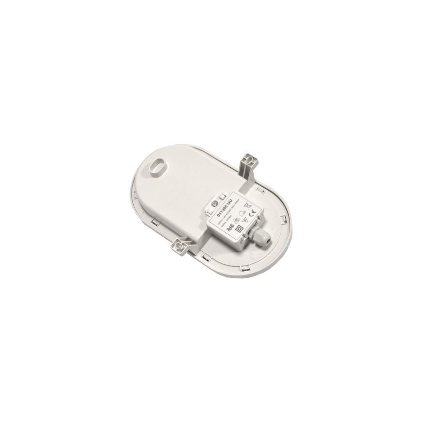 LED tehnička svjetiljka RIGGS LED/12W/230V 4000K IP54 bijela