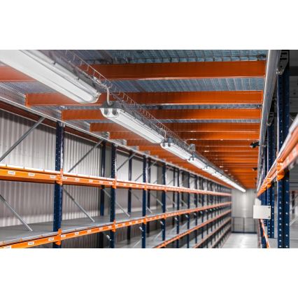 LED tehnička svjetiljka T8 2xG13/20W/230V 6500K 120 cm IP65 bijela