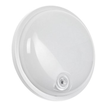LED tehničko svjetlo s PIR senzorom LED/20W/230V IP54