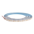 LED Traka DAISY 5m hladna bijela