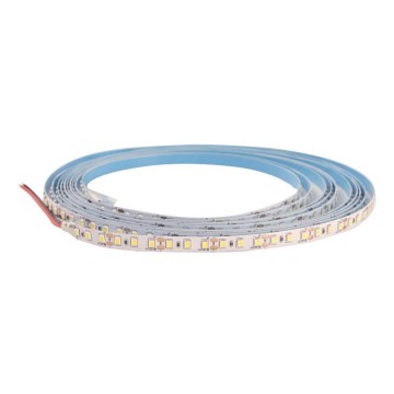 LED Traka DAISY 5m hladna bijela