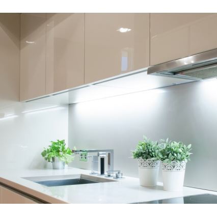 LED traka TRAMO LED/500W/12V 50m 6500K