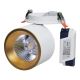 LED Ugradbena reflektorska svjetiljka HARON LED/20W/230V bijela