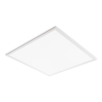 LED ugradni panel DAVRO LED/40W/230V 4000K 59,5 x 59,5 cm bijeli