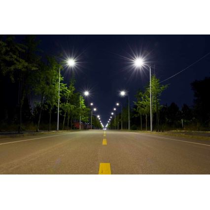 LED Ulična svjetiljka BOSTON LED/35W/230V IP65