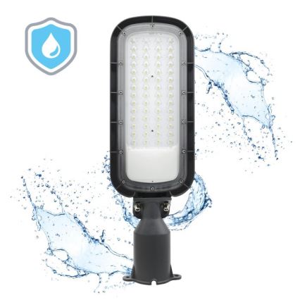 LED ulična svjetiljka BRELUXO LED/100W/230V 4000K IP65
