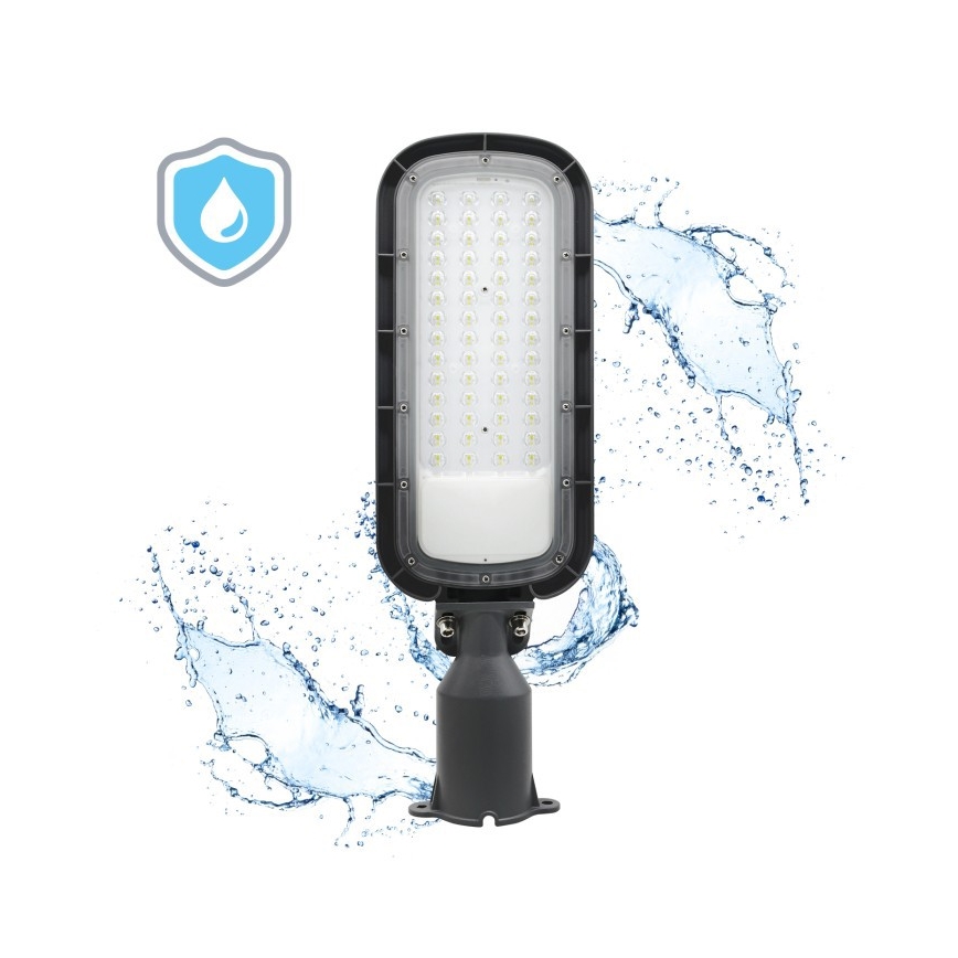 LED ulična svjetiljka BRELUXO LED/100W/230V 4000K IP65
