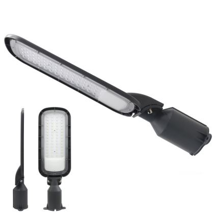 LED ulična svjetiljka BRELUXO LED/100W/230V 4000K IP65