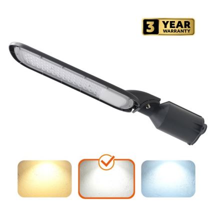 LED ulična svjetiljka BRELUXO LED/100W/230V 4000K IP65