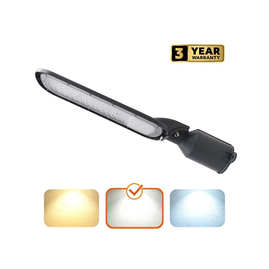 LED ulična svjetiljka BRELUXO LED/100W/230V 4000K IP65