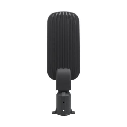 LED ulična svjetiljka BRELUXO LED/100W/230V 4000K IP65