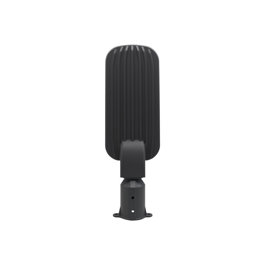 LED ulična svjetiljka BRELUXO LED/100W/230V 4000K IP65