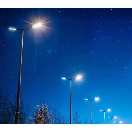 LED ulična svjetiljka BRELUXO LED/50W/230V 4000K IP65