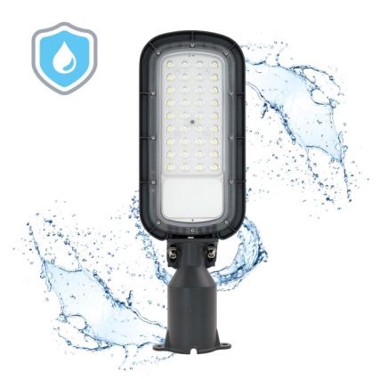 LED ulična svjetiljka BRELUXO LED/50W/230V 4000K IP65