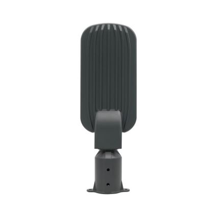 LED ulična svjetiljka BRELUXO LED/50W/230V 4000K IP65
