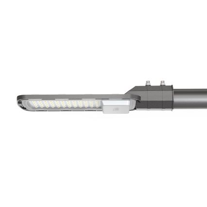 LED Ulična svjetiljka LED/100W/230V 6500K IP65 siva