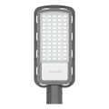 LED Ulična svjetiljka LED/150W/230V 6500K IP65 siva