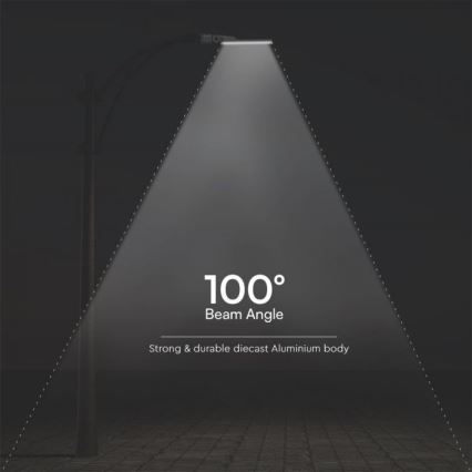 LED Ulična svjetiljka SAMSUNG CHIP LED/50W/230V 6500K IP65