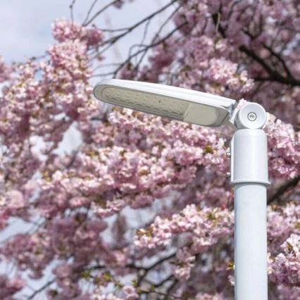 LED Ulična svjetiljka SOLIS LED/50W/230V 4000K IP65