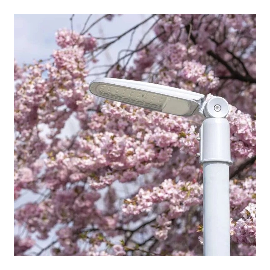 LED Ulična svjetiljka SOLIS LED/50W/230V 4000K IP65