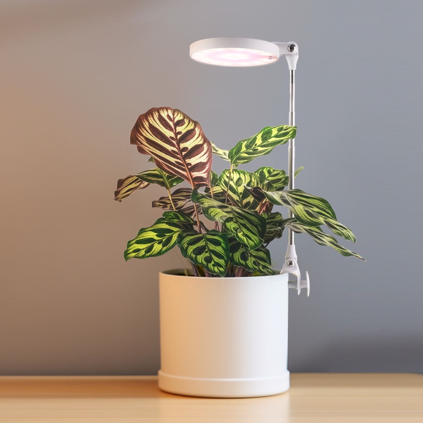 LED Unutarnja lampa za uzgoj biljaka LED/10W/5V 3200K
