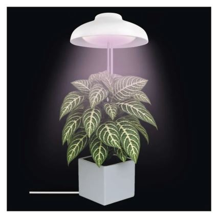 LED unutarnja svjetiljka za uzgoj biljaka GROW LED/5W/5V