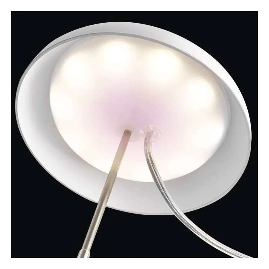 LED unutarnja svjetiljka za uzgoj biljaka GROW LED/5W/5V