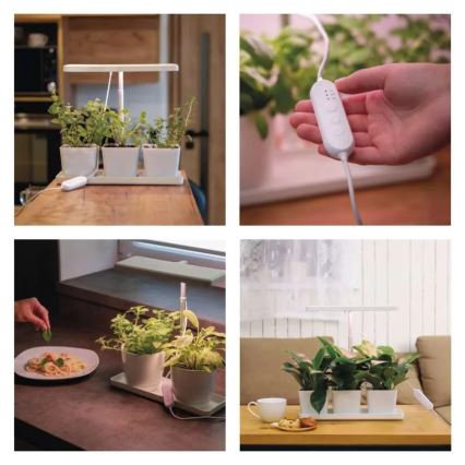 LED unutarnja svjetiljka za uzgoj biljaka GROW LED/7W/5V s mogućnošću prigušivanja