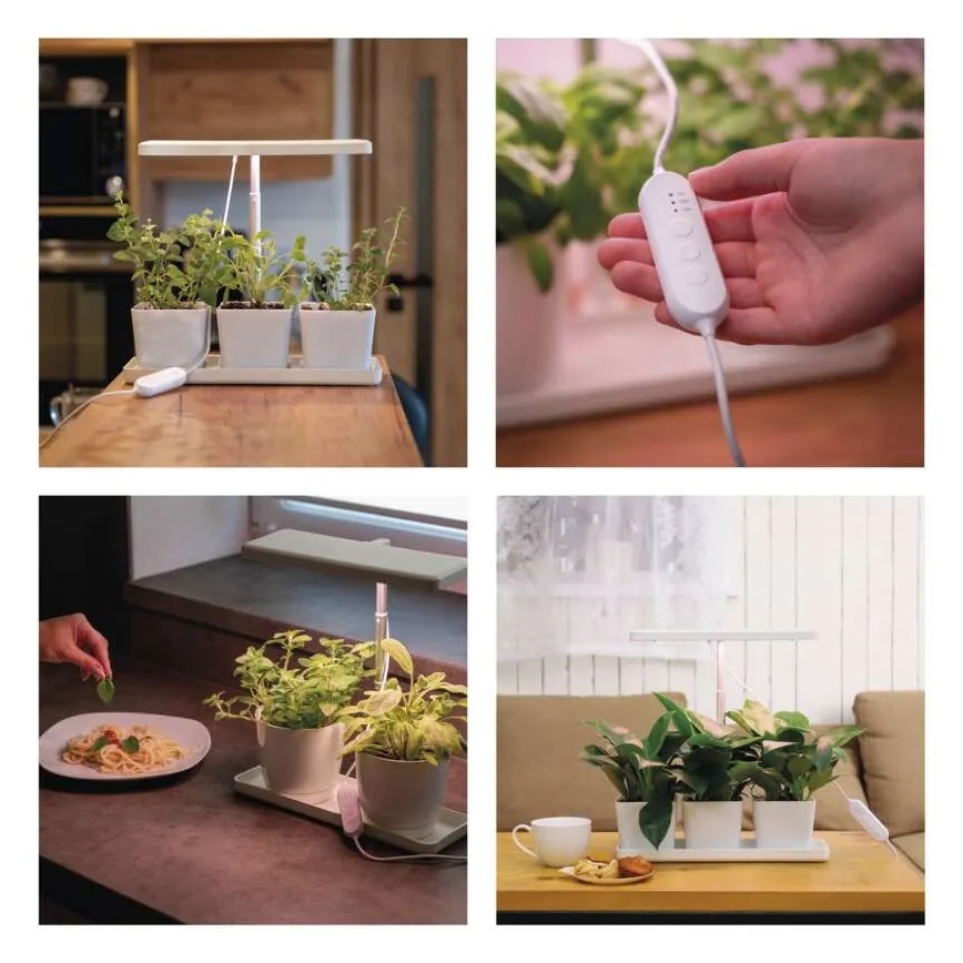 LED unutarnja svjetiljka za uzgoj biljaka GROW LED/7W/5V s mogućnošću prigušivanja