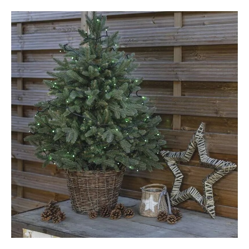 LED Vanjska božićna girlanda 100xLED/10m IP44 zelena