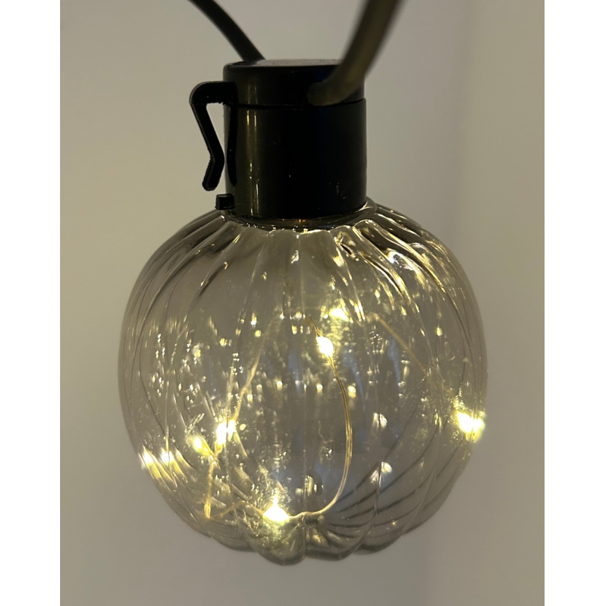 LED vanjska dekorativna girlanda 10xLED/0,15W/230V 6,8 m IP44 crna/dimna