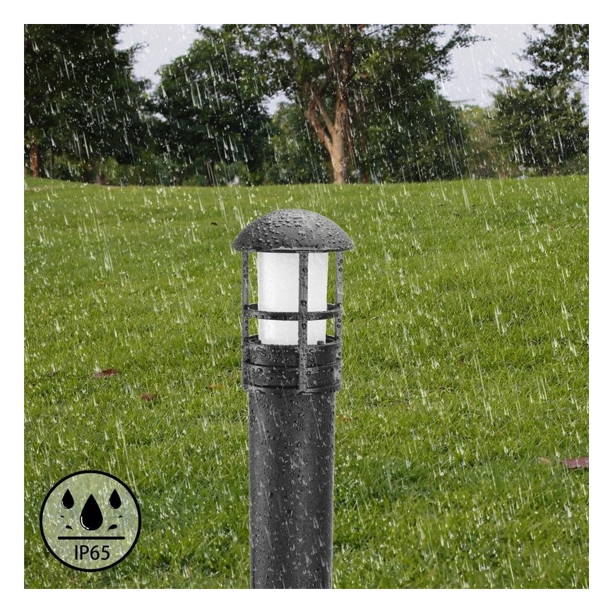 LED Vanjska lampa LED/3W/230V 4000K IP65
